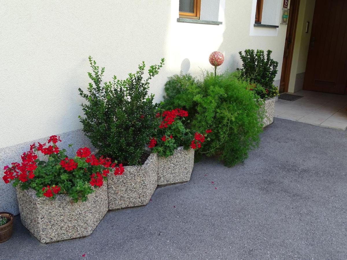 Appartement Sylvester Matrei in Osttirol Exteriör bild