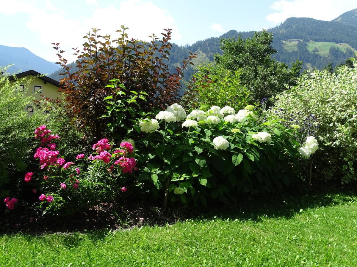 Appartement Sylvester Matrei in Osttirol Exteriör bild